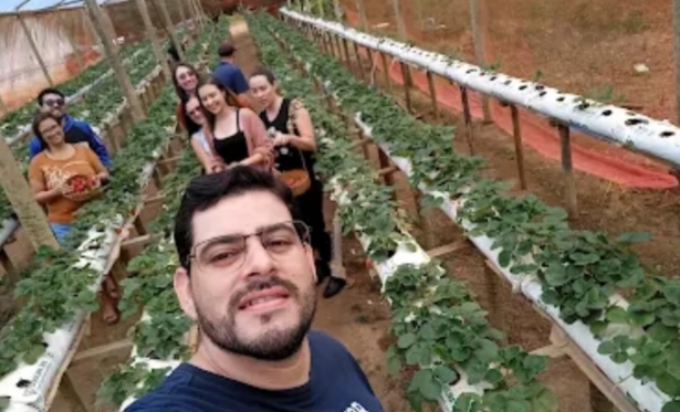 Morango desponta como nova estrela da agricultura em Varre-Sai