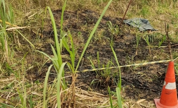 Pol�cia Prende Tr�s Suspeitos de Homic�dio e Carboniza��o de Mulher em Miracema