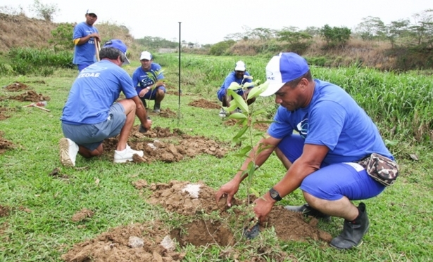 CEDAE e Italva promovem ao de restaurao florestal no Rio Muria