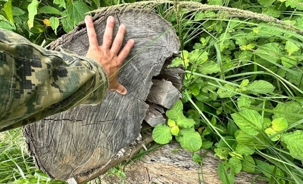 Polcia Investiga Corte de rvores na Estrada Nova Itaocara