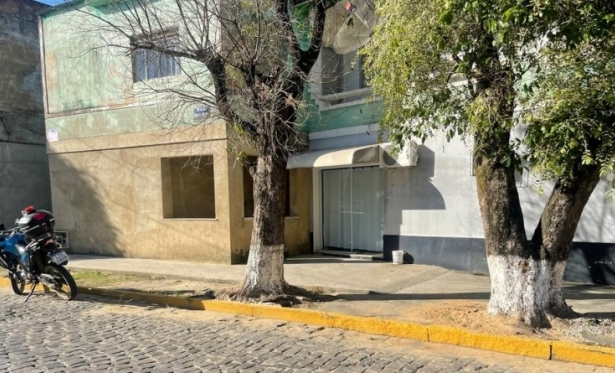 Suspeita de envenenamento de árvores é investigada em Itaocara