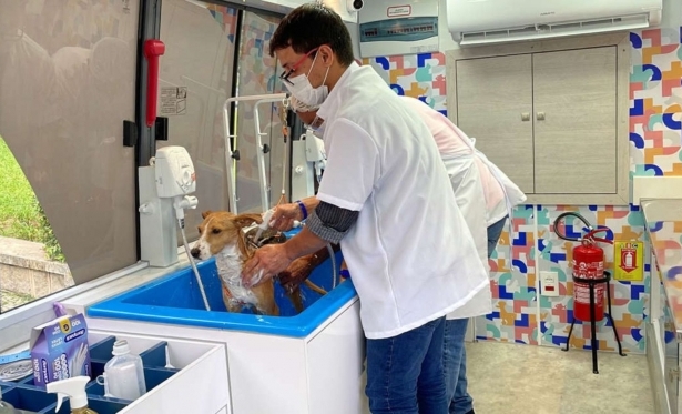 Pet Mvel oferece banho e tosa gratuitos para pets em Itaperuna