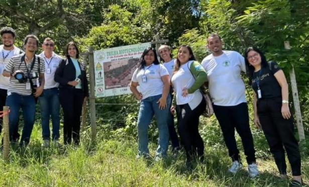 Desmatamento cai e projeto fortalece Mata Atl�ntica